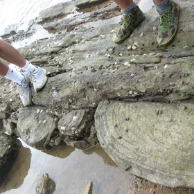 Sediment deformation
