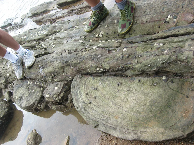 Sediment deformation
