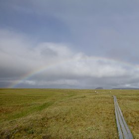 Arctic Rainbow in the Lena River Delta