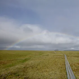Arctic Rainbow in the Lena River Delta