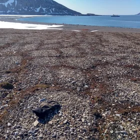Sorted Stones at Gåshamna