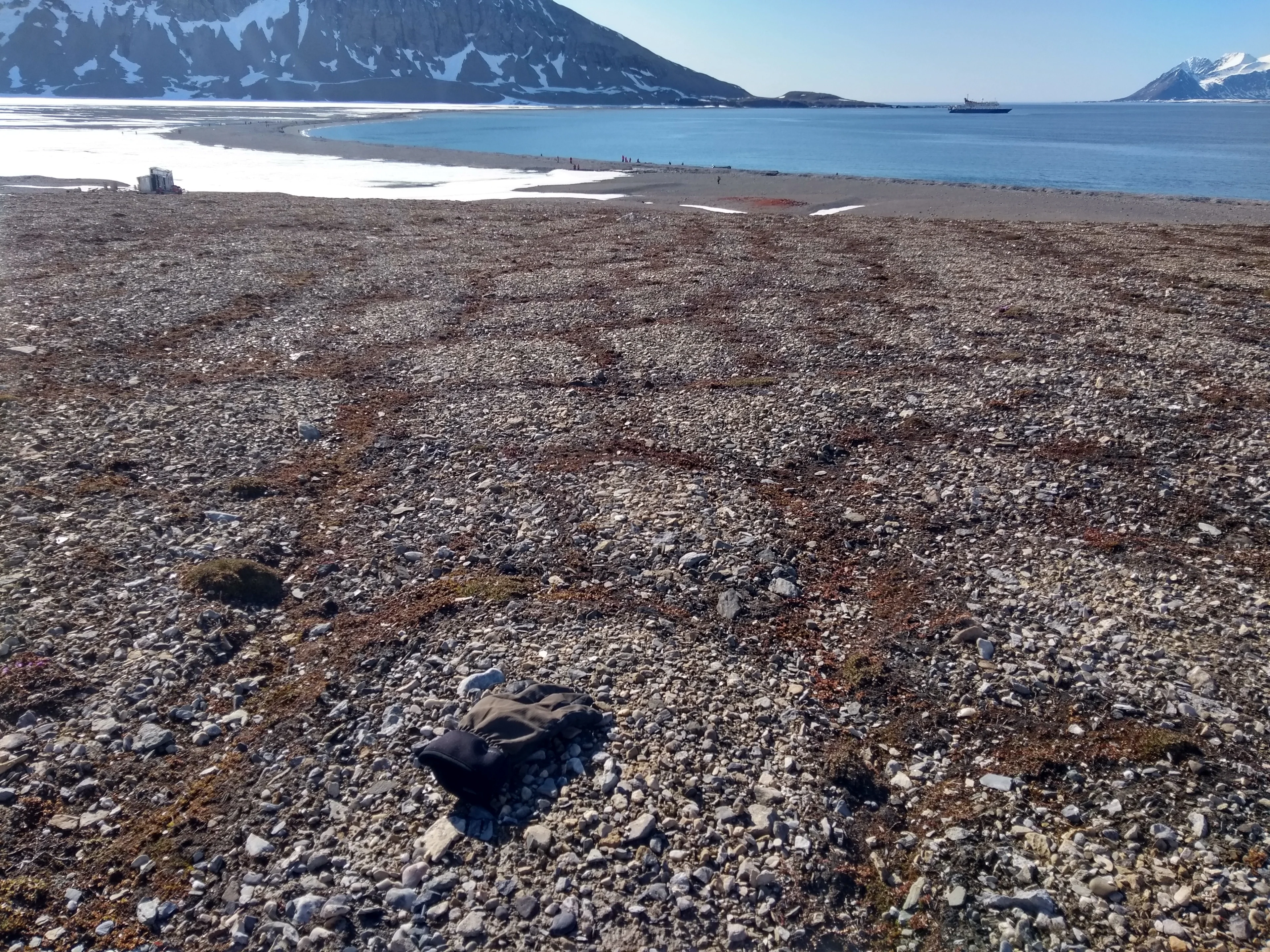 Sorted Stones at Gåshamna