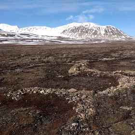 Sorted Stones at Calypsobyen