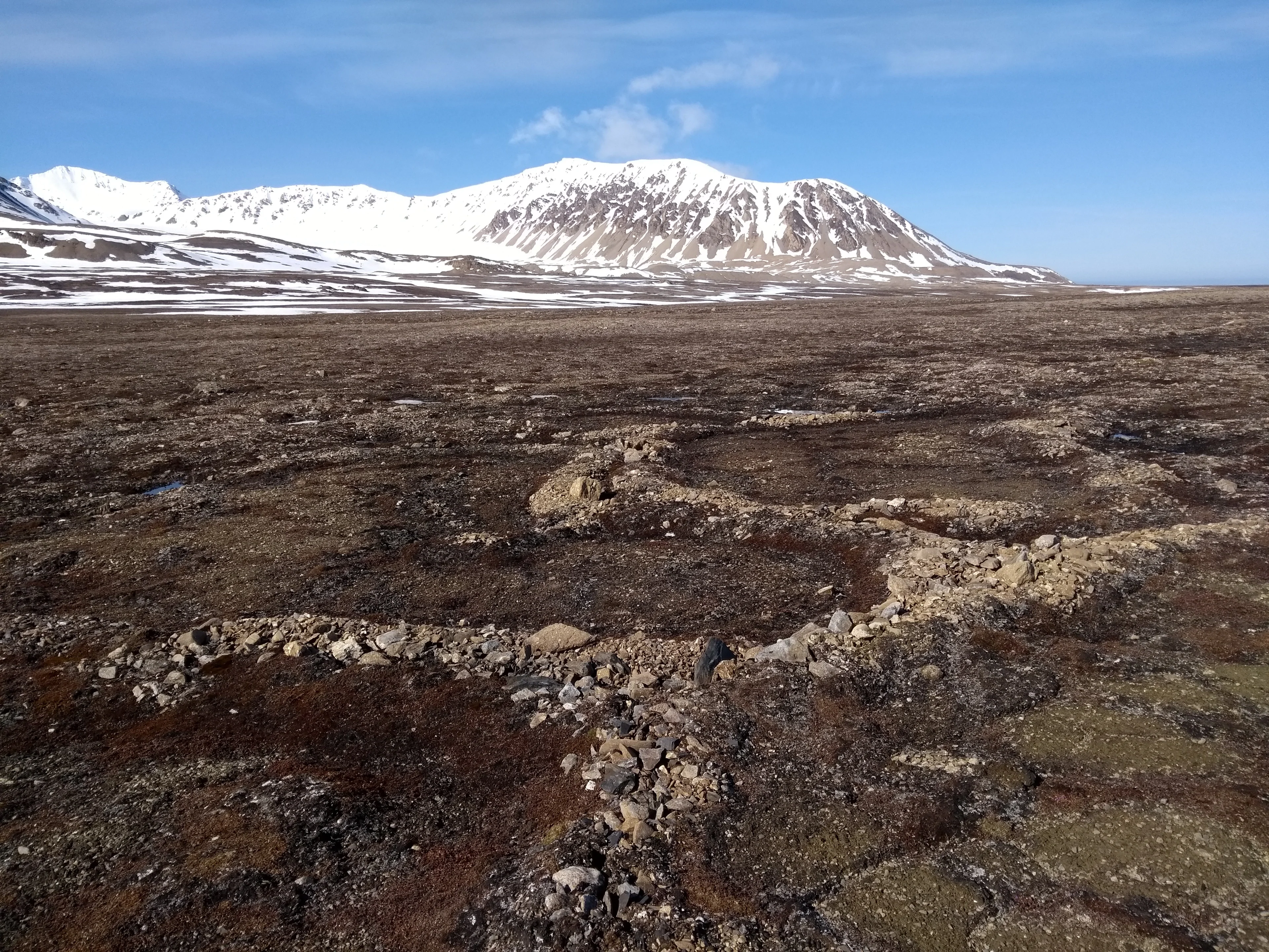 Sorted Stones at Calypsobyen