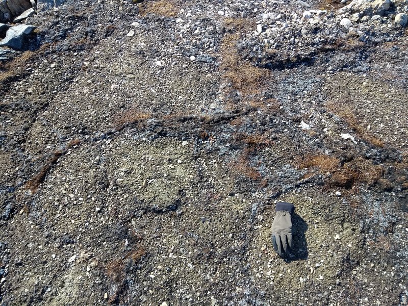 Mud Boils at Calypsobyen