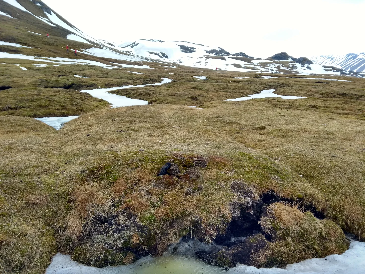 (High-Center) Polygonal Tundra at Alkhornet