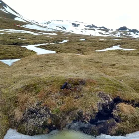 (High-Center) Polygonal Tundra at Alkhornet