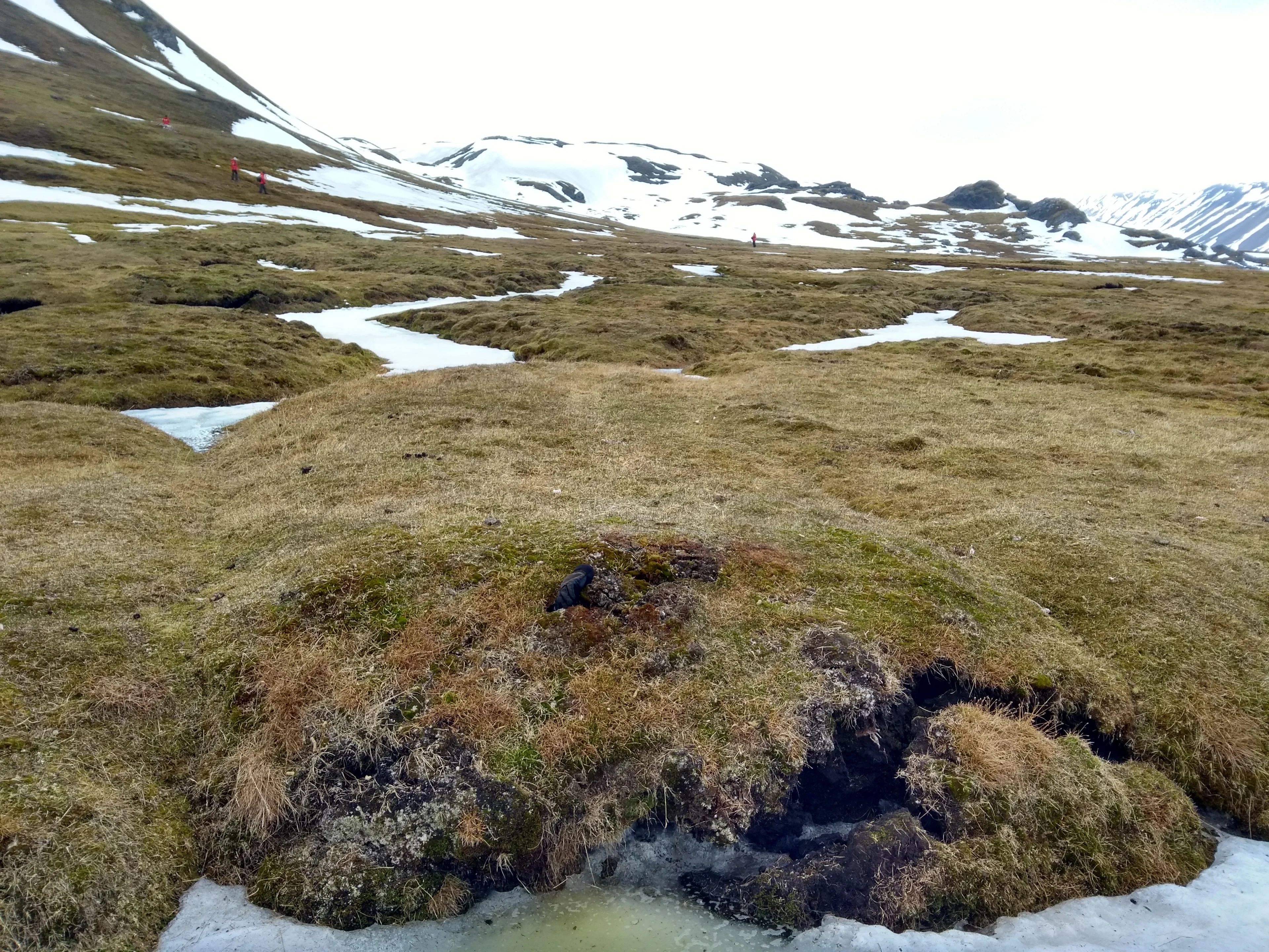 (High-Center) Polygonal Tundra at Alkhornet