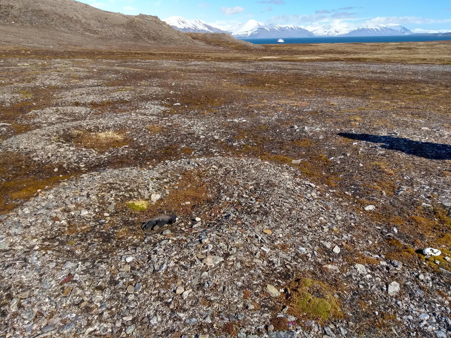 Sorted Stones at Ahlstrandhalvøya