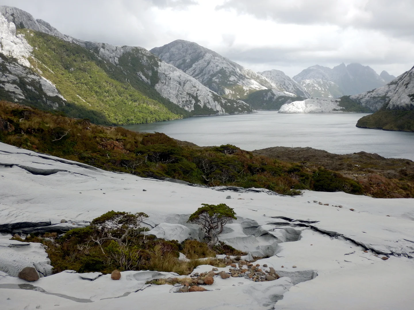 "Limestone glaciers" on Pacific island