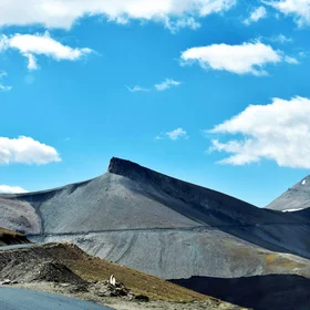 Tanglang La Pass, Ladakh (India)