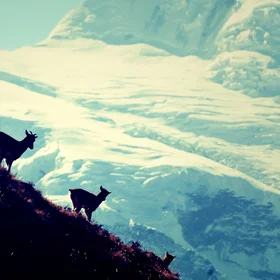Magical spirit of Annapurna