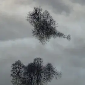 Reflections in floodwater