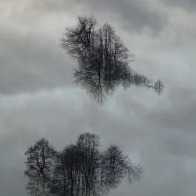 Reflections in floodwater