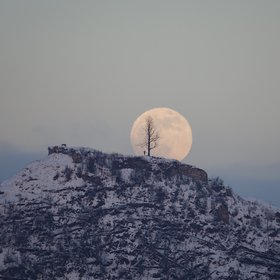 Fullmoon rise over the lonely tree on the hill