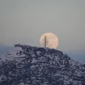 Fullmoon rise over the lonely tree on the hill