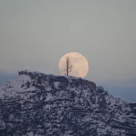 Fullmoon rise over the lonely tree on the hill