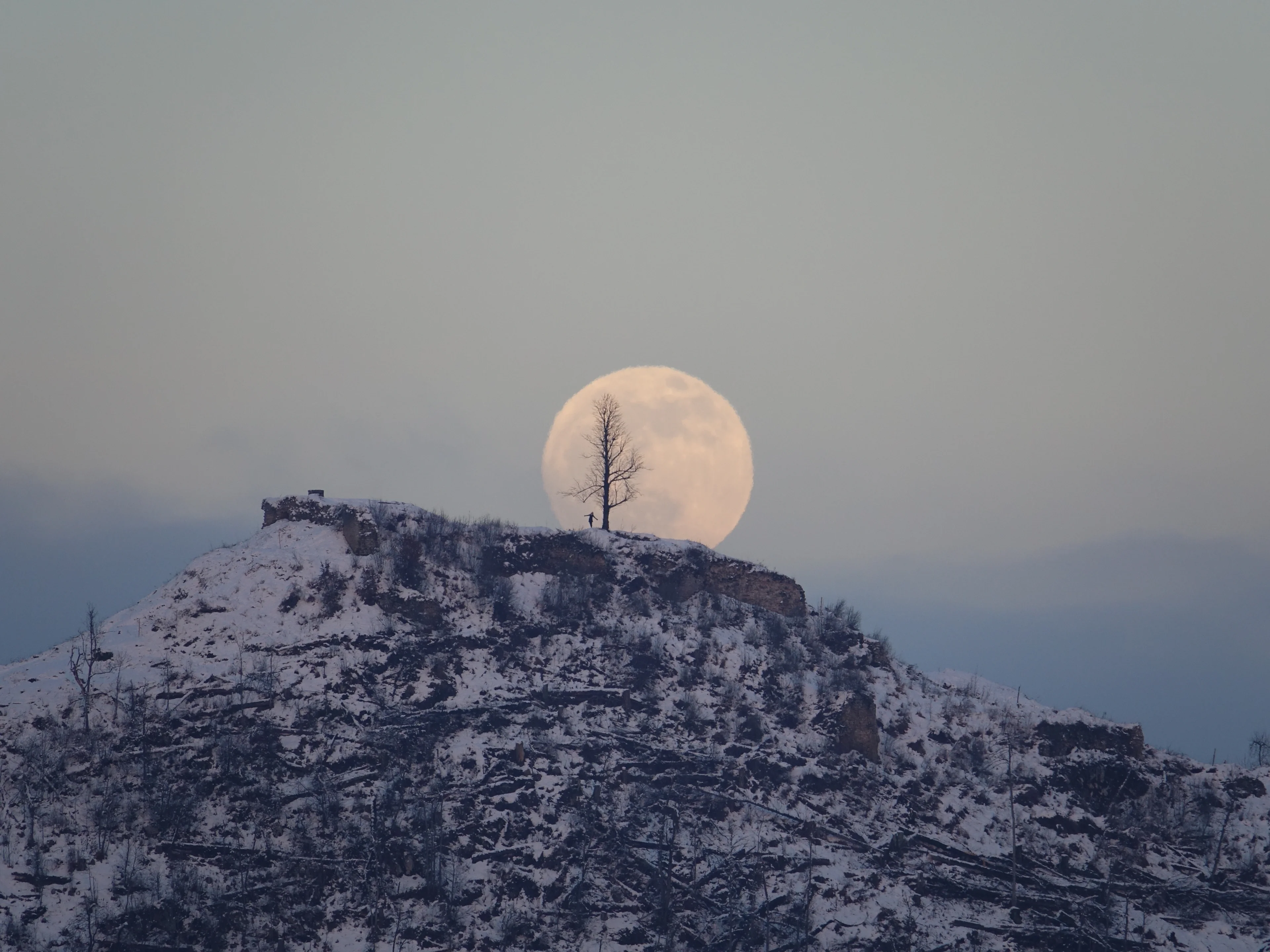 Fullmoon rise over the lonely tree on the hill