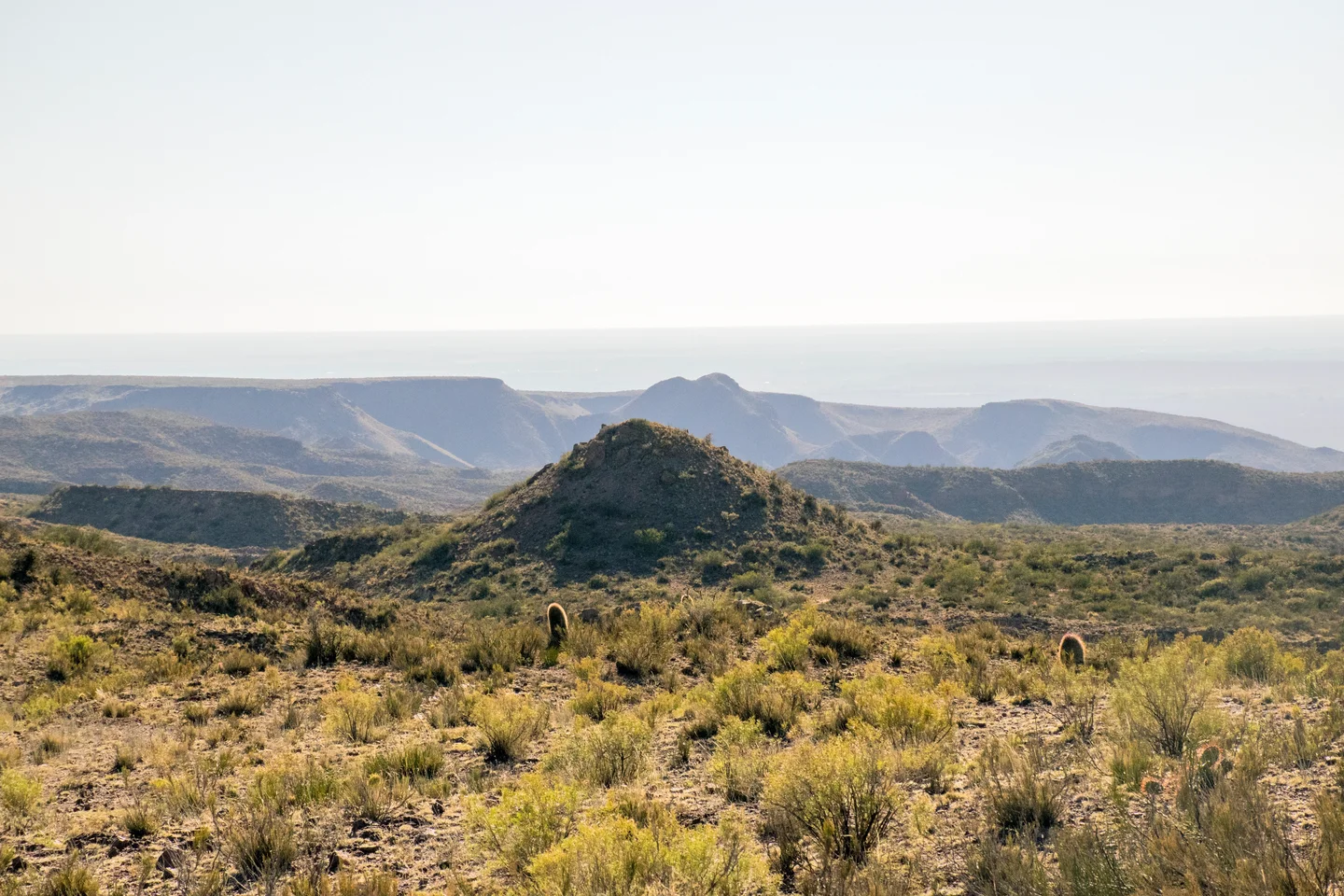 Triassic volcanics in Argentina