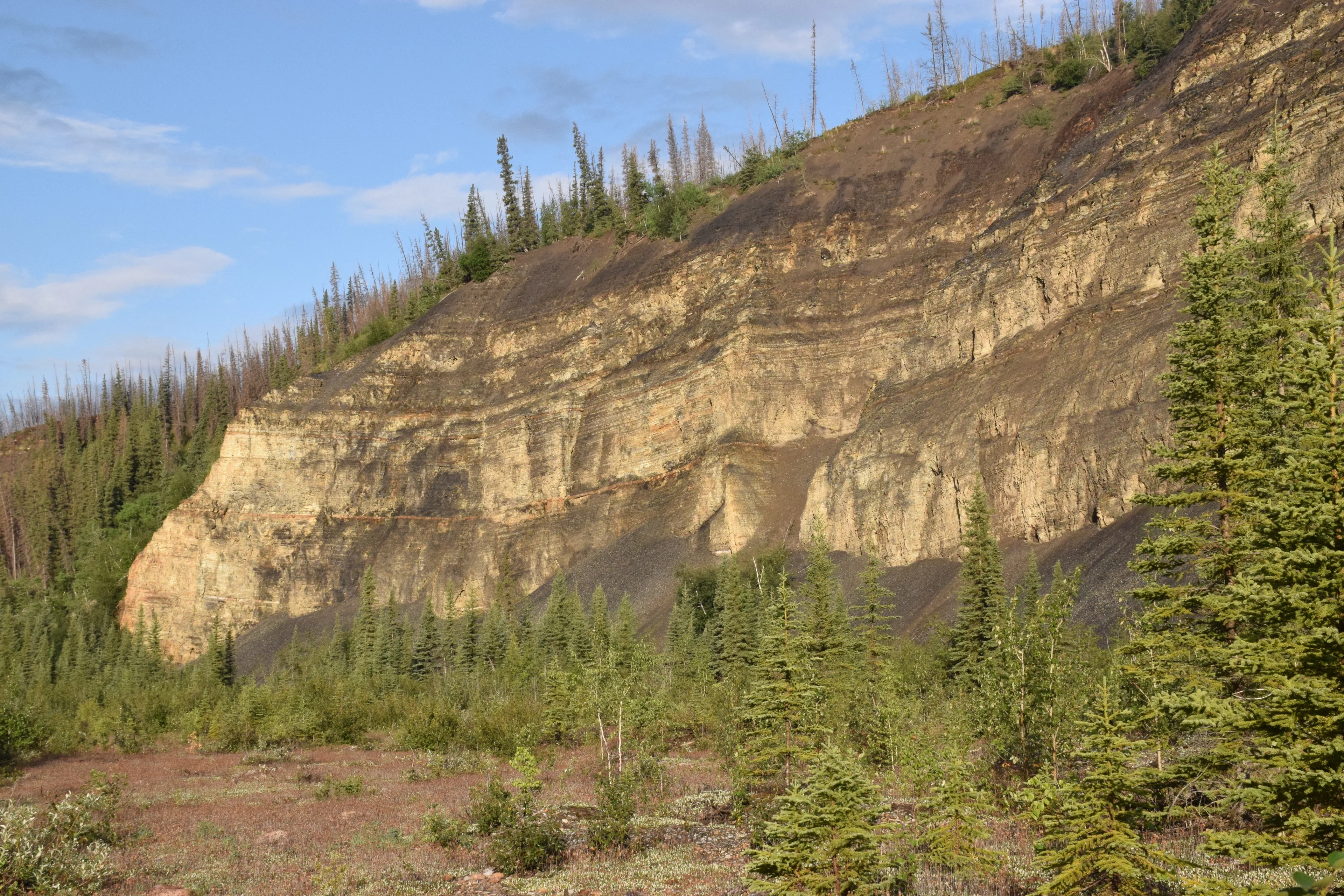 Devonian Canol Formation