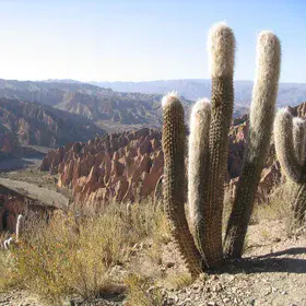 Rock formations near Tupiza