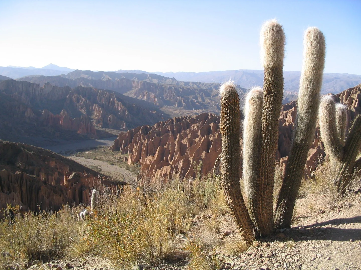 Rock formations near Tupiza