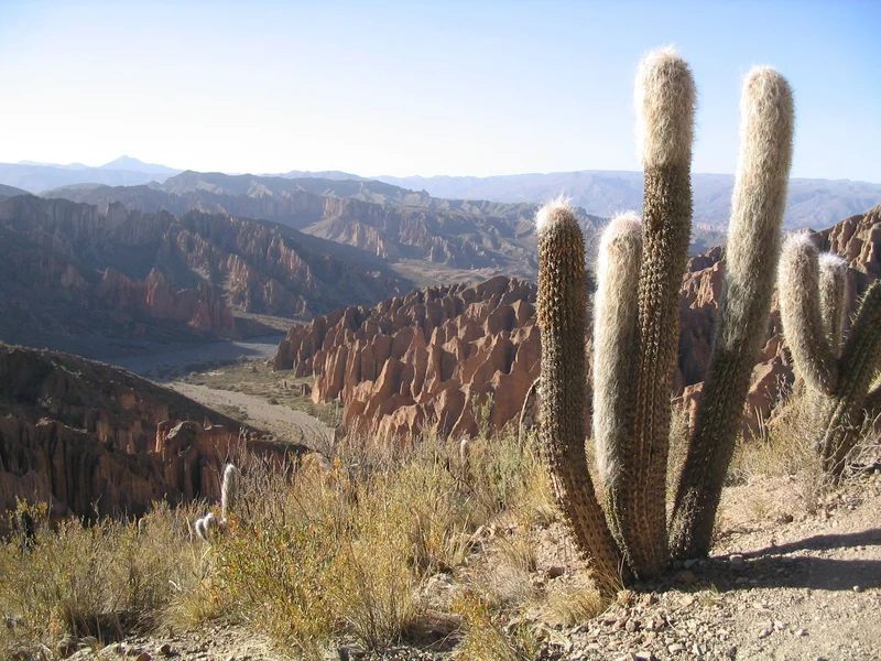 Rock formations near Tupiza