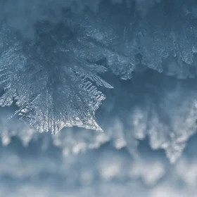 Ice crystal growing under extreme conditions on Greenland Ice Sheet