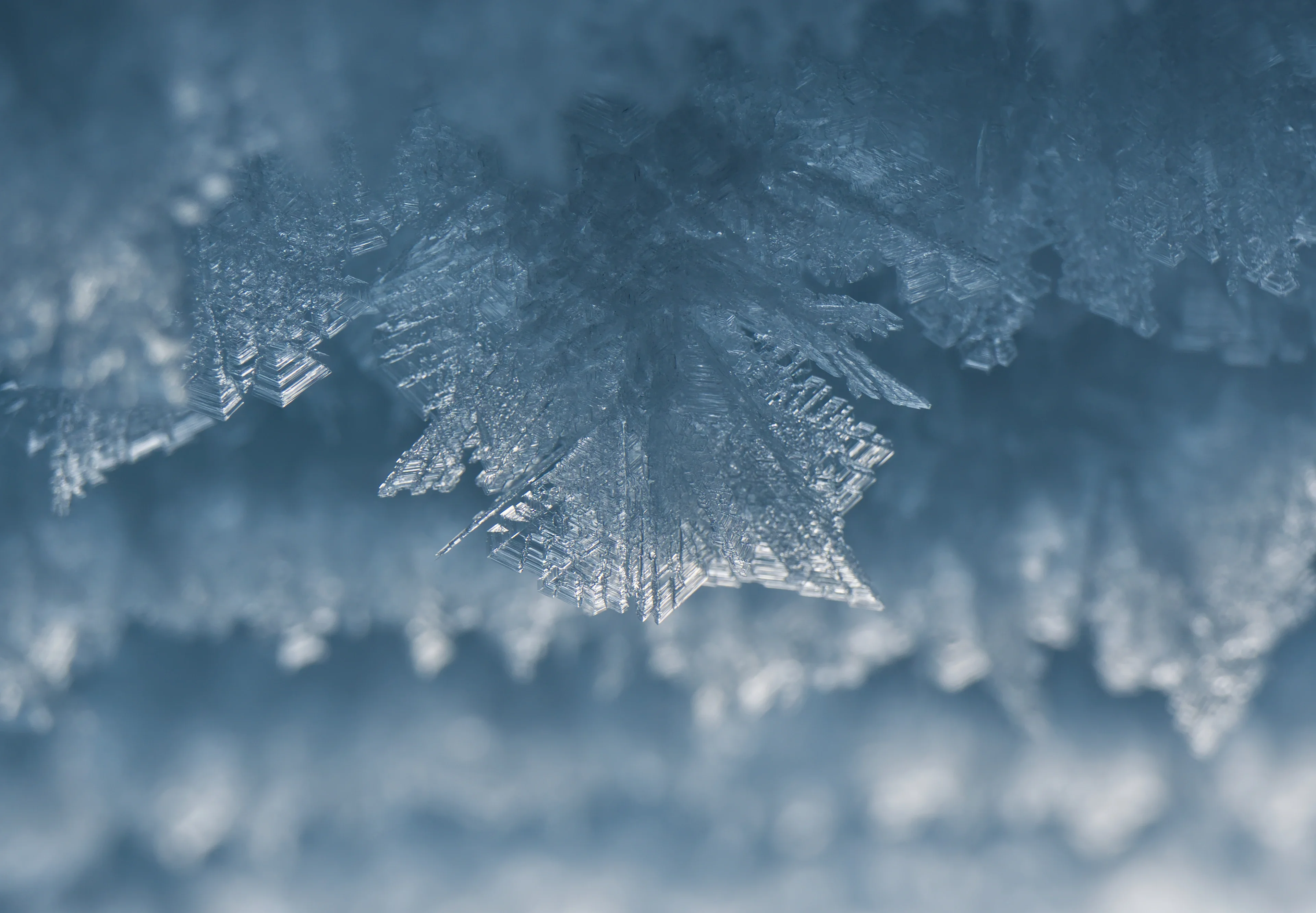 Ice crystal growing under extreme conditions on Greenland Ice Sheet