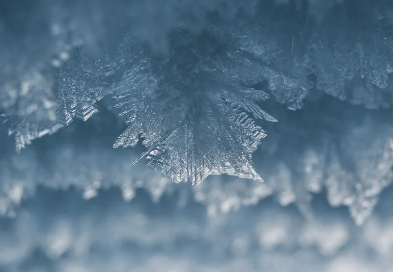 Ice crystal growing under extreme conditions on Greenland Ice Sheet