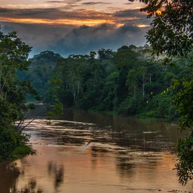 Yasuní National Park
