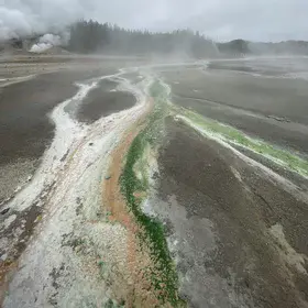 The foggy river of life