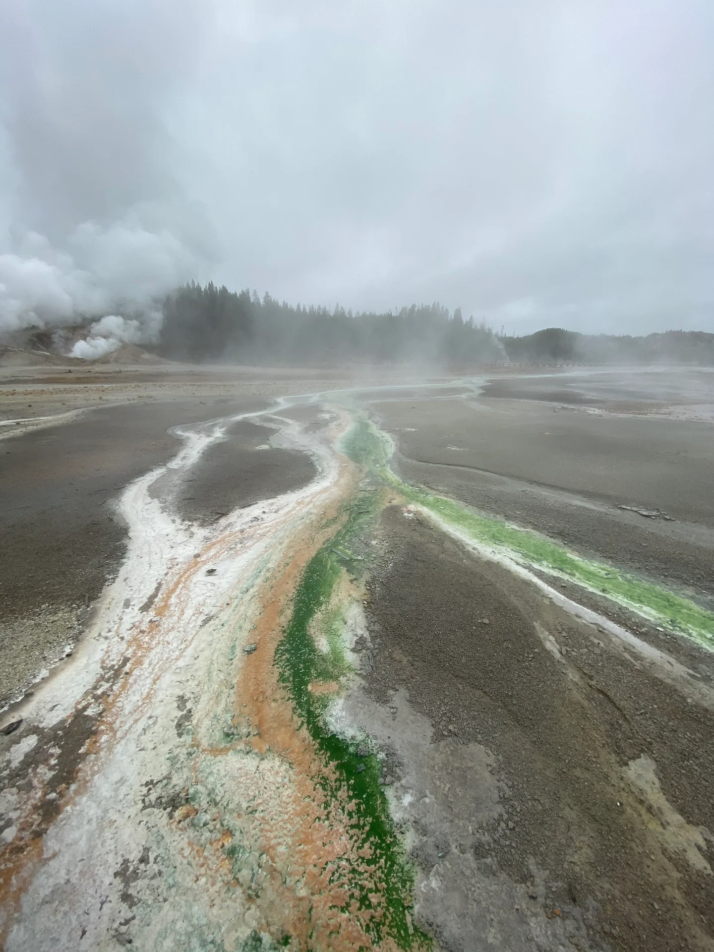 The foggy river of life