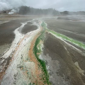 The foggy river of life
