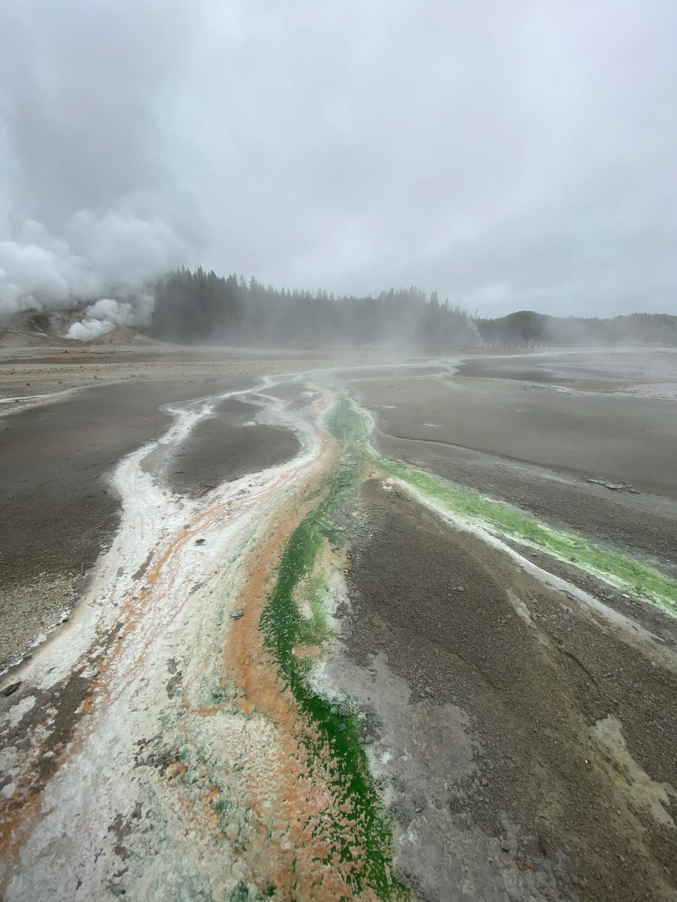 The foggy river of life