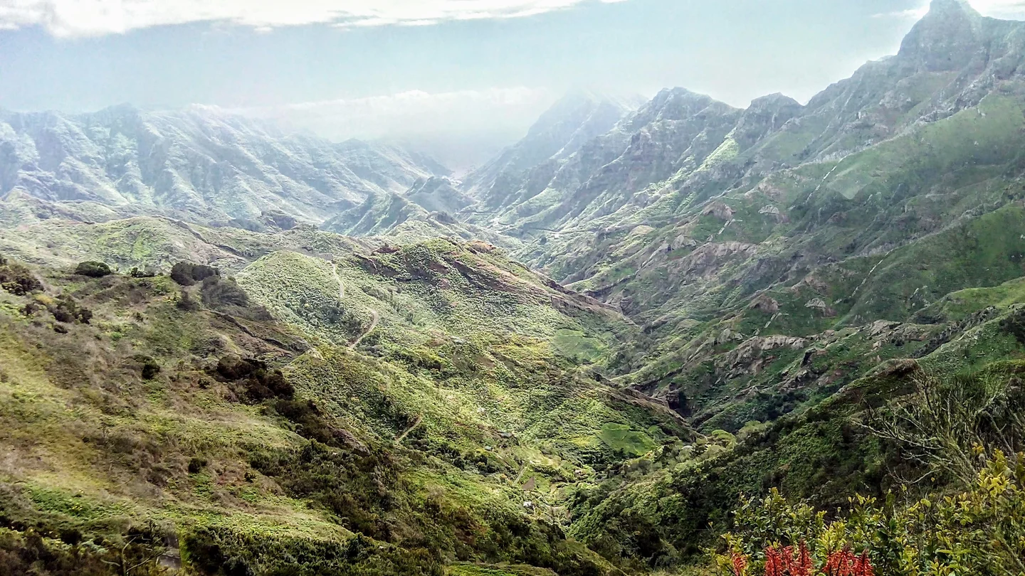 Jardina's Landscape, Tenerife