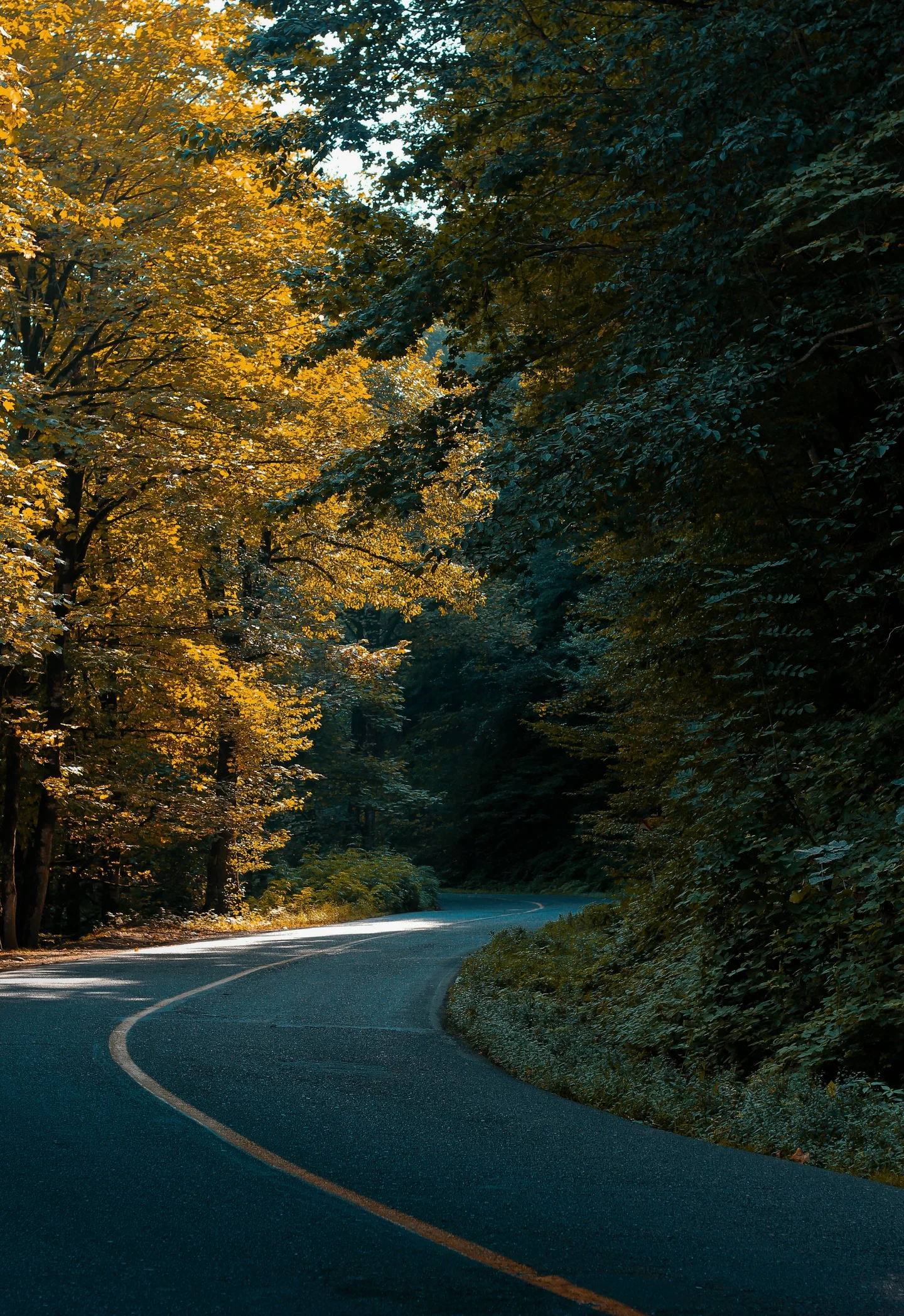 The Heavenly road of Asalem to Khalkhal