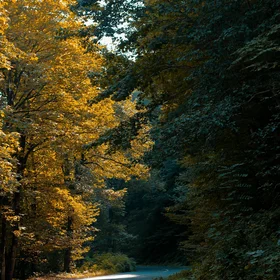 The Heavenly road of Asalem to Khalkhal