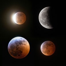 The Eclipse of 2019 - Super Blood Wolf Moon by Julia Jeworrek