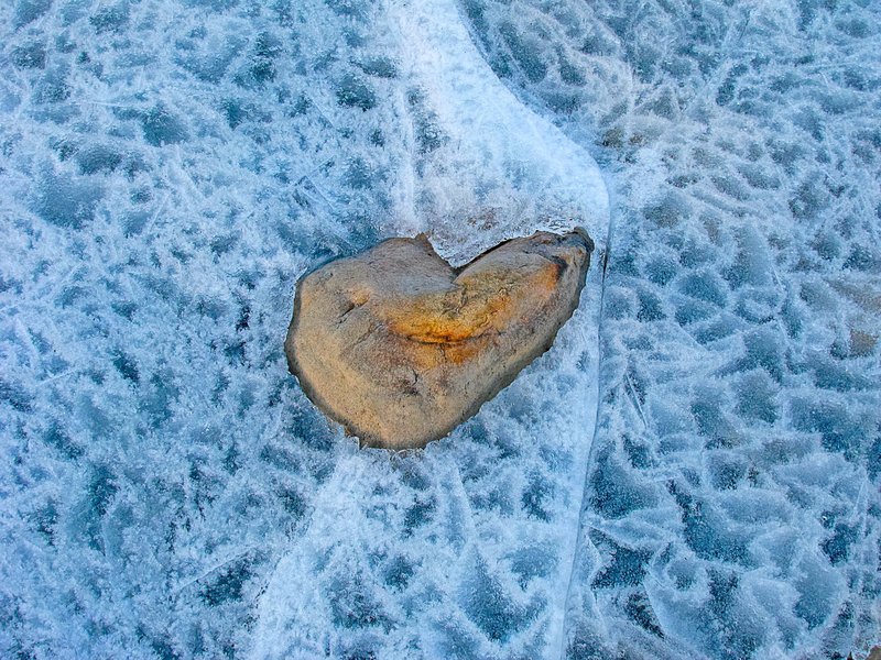 Frozen heart in Norwegian winter