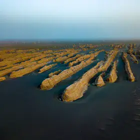 Yardangs in the Gobi desert