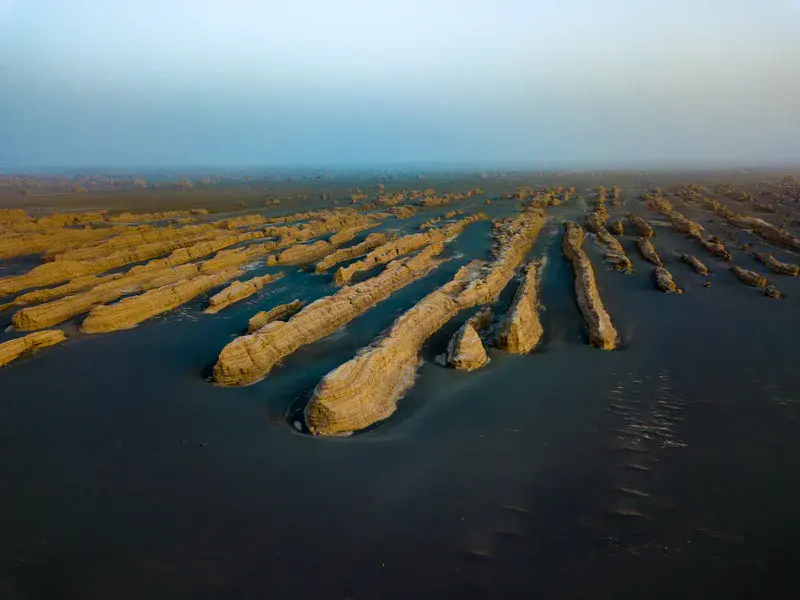 Yardangs in the Gobi desert