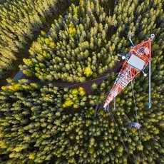 Flux tower in Finland by Jonathan D. Müller