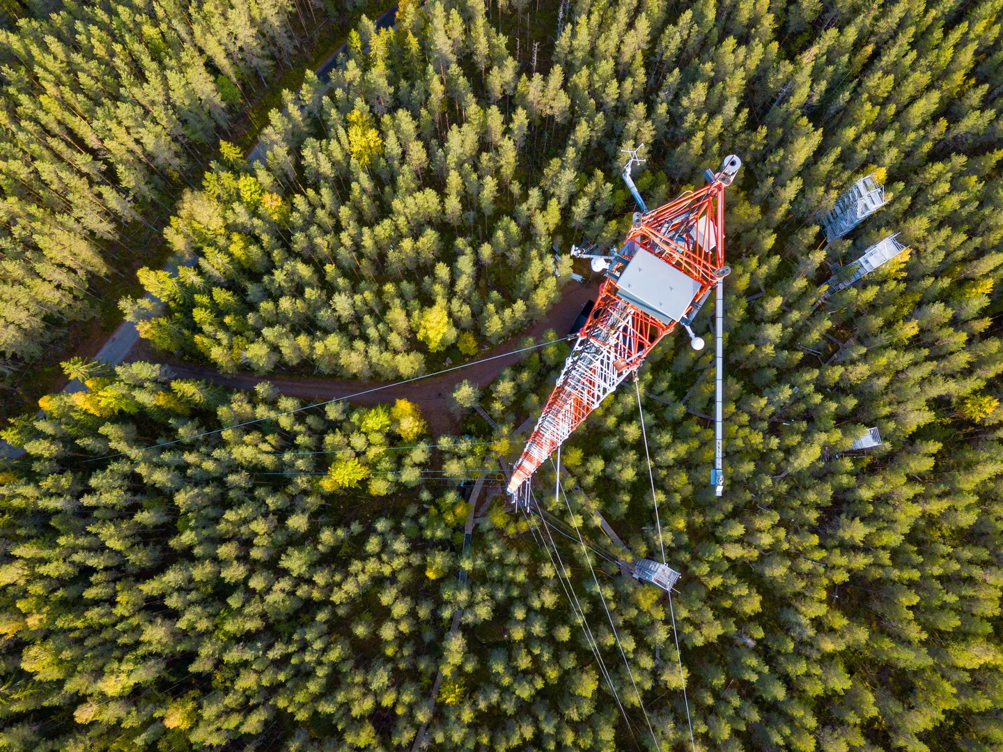 Flux tower in Finland