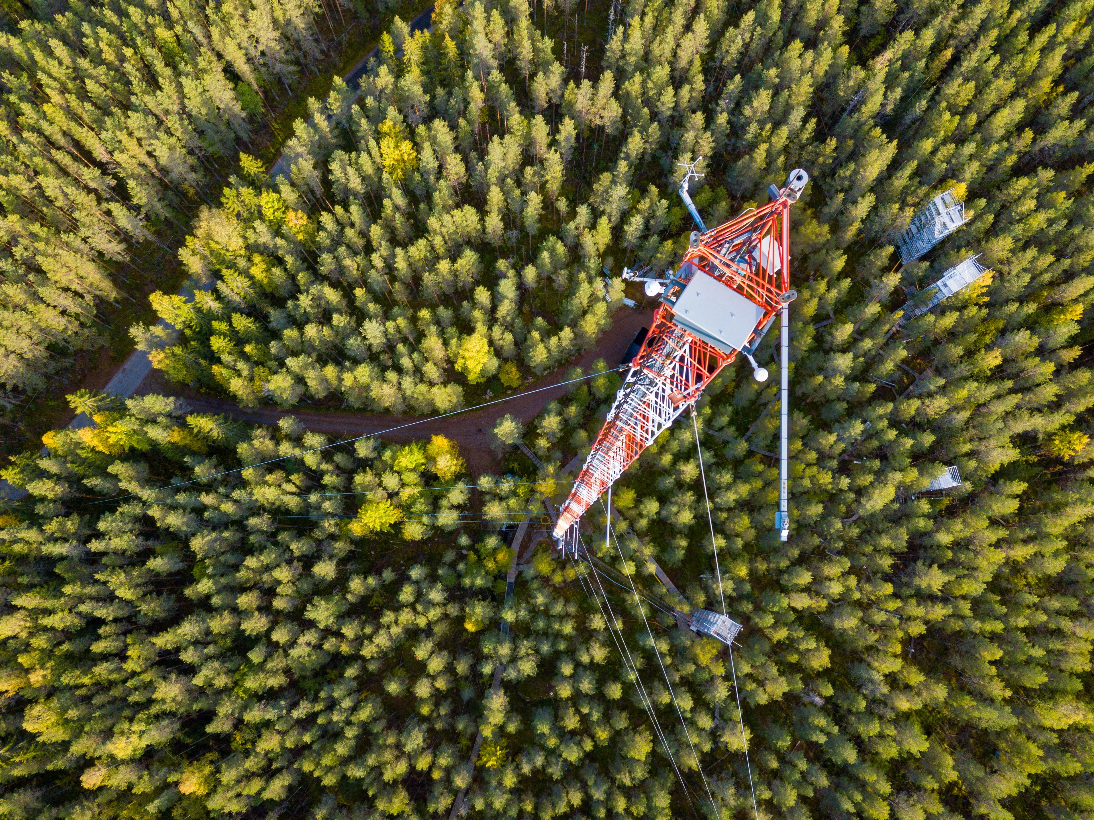 Flux tower in Finland