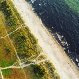 Seaweed carpet from above