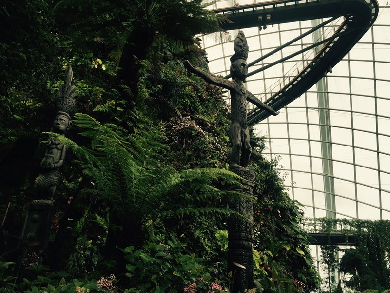 The artificial cloud forest