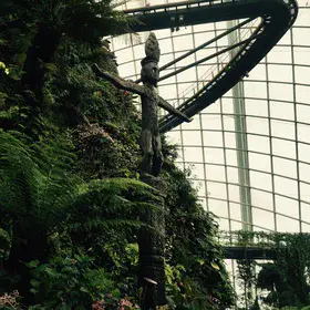 The artificial cloud forest