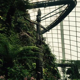 The artificial cloud forest