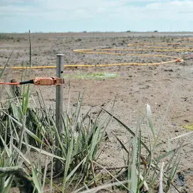 Geoelectrics in Wadden Sea